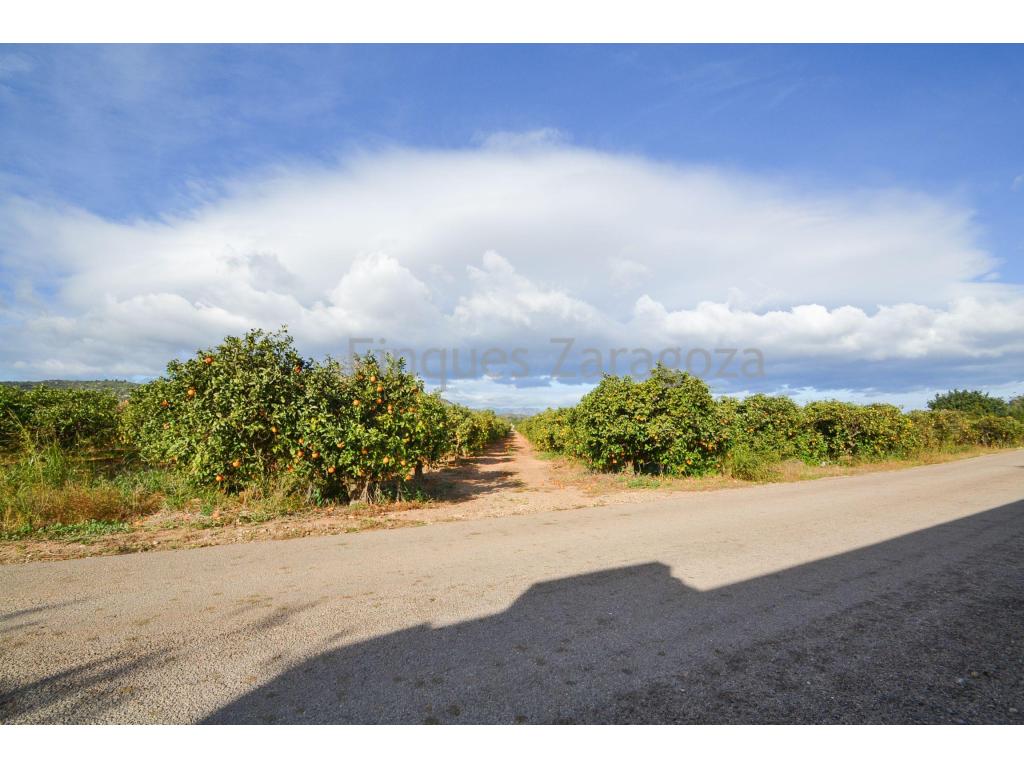 For sale this finca in Amposta, Masdencarrasca, planted with orange trees, with electricity and well.The property has 27.500m², and has automatic irrigation distribution throughout the property.There is a store room inside.The farm is in full production.