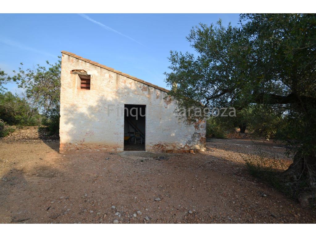 This is an estate of 17.031m² situated between L'Ampolla, planted with olive and carob trees with a small country house to renovate.