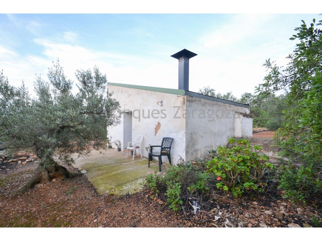 This is an estate of 11.557m² situated in L'Ampolla, planted with olive and carob trees with a small country house.