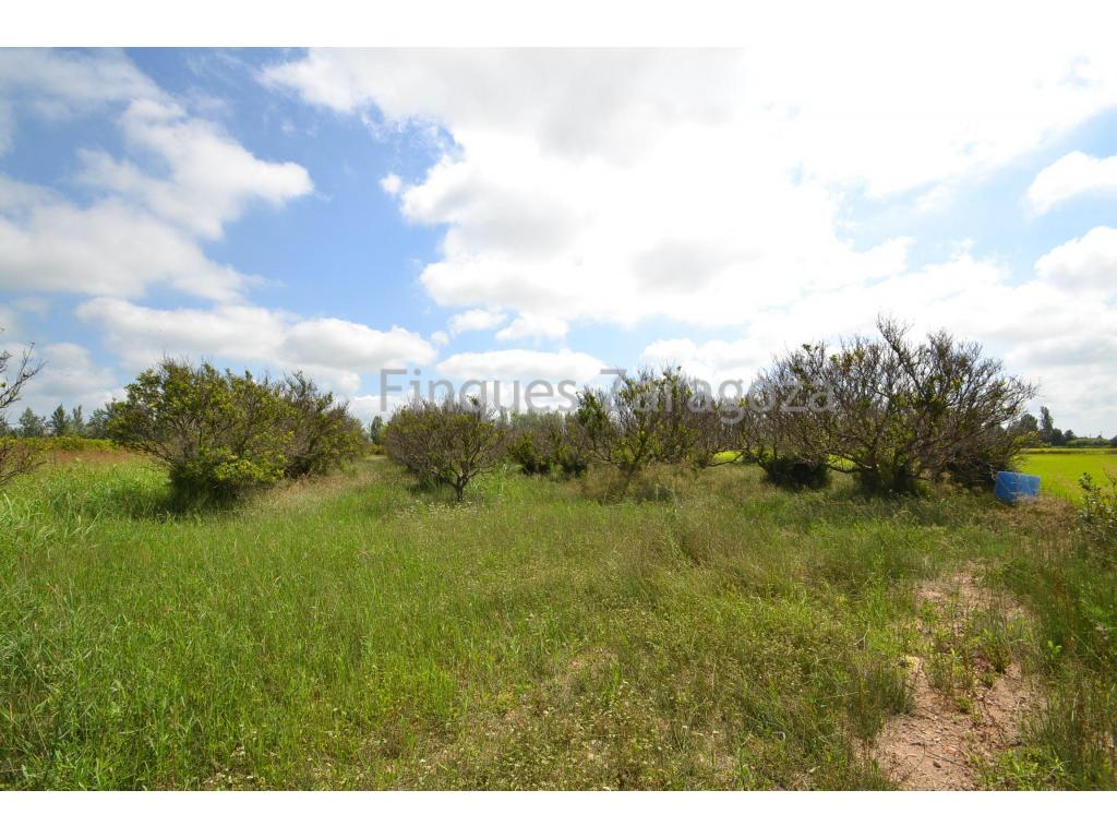 Terrain rustique de 4.964 m² à vendre à Sant Jaume d'Enveja.Ce grand terrain est idéal pour des projets agricoles ou comme investissement, offrant un environnement naturel entouré de tranquillité. Située dans une zone facilement accessible, cette propriété offre une excellente opportunité pour ceux qui cherchent à profiter de la campagne ou à développer des activités rurales.Ne manquez pas cette opportunité unique dans un endroit privilégié!