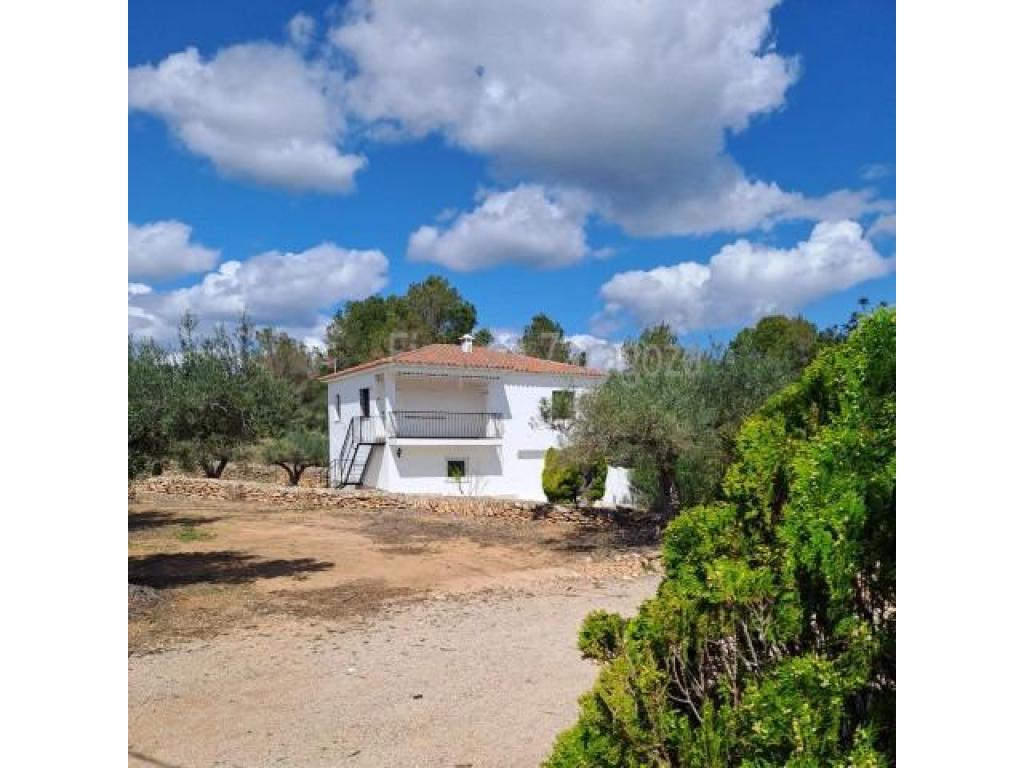 Distribución:- Planta piso: terraza cubierta, recibidor, salón-comedor con chimenea, cocina, 1 cuarto de baño, un cuarto de aseo, 2 dormitorios dobles- Planta baja: local, almacén, garaje, lavadero y duchaAgua. Electricidad. Acceso asfaltado.Plantación de olivos, algarrobos y almendros.