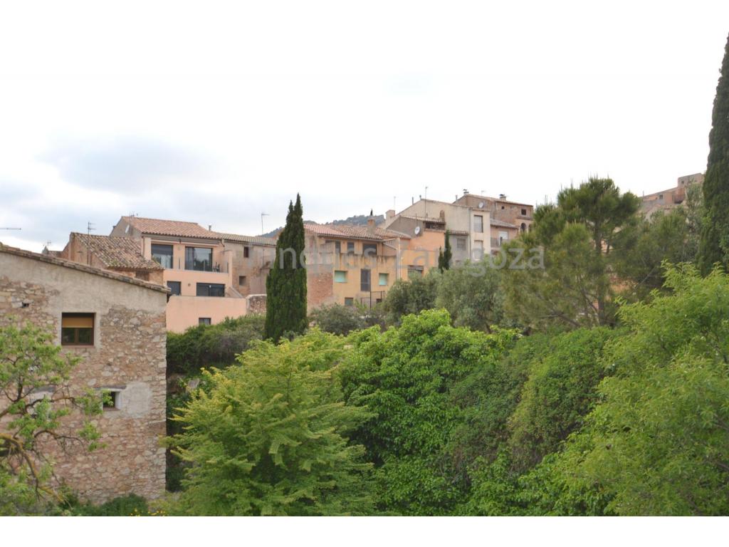Située dans le pittoresque village de Prat de Comte, cette maison mitoyenne construite en 1900 est un véritable bijou pour les amateurs d’authenticité et de charme rural. Avec une surface bâtie totale de 343 m² répartis sur trois étages, la propriété offre de nombreuses possibilités — résidence principale, maison de vacances ou projet touristique.Le rez-de-chaussée dispose d’un vaste entrepôt de 111 m², idéal comme garage, atelier ou espace commercial. Le premier étage accueille la maison principale de 121 m², avec une distribution traditionnelle et des éléments d’origine bien conservés. Le deuxième étage (grenier) de 111 m² est partiellement rénové, offrant l’opportunité de personnaliser les espaces selon vos envies.Construite sur un terrain de 120 m², la maison bénéficie d’une excellente orientation et de vues dégagées à l’arrière, donnant sur la piscine municipale et les montagnes environnantes.Une propriété unique avec un fort potentiel dans l’un des coins les plus paisibles et authentiques de la Terra Alta.